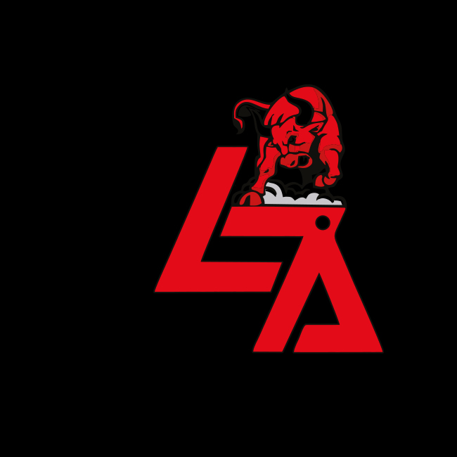Liga Mfg Group